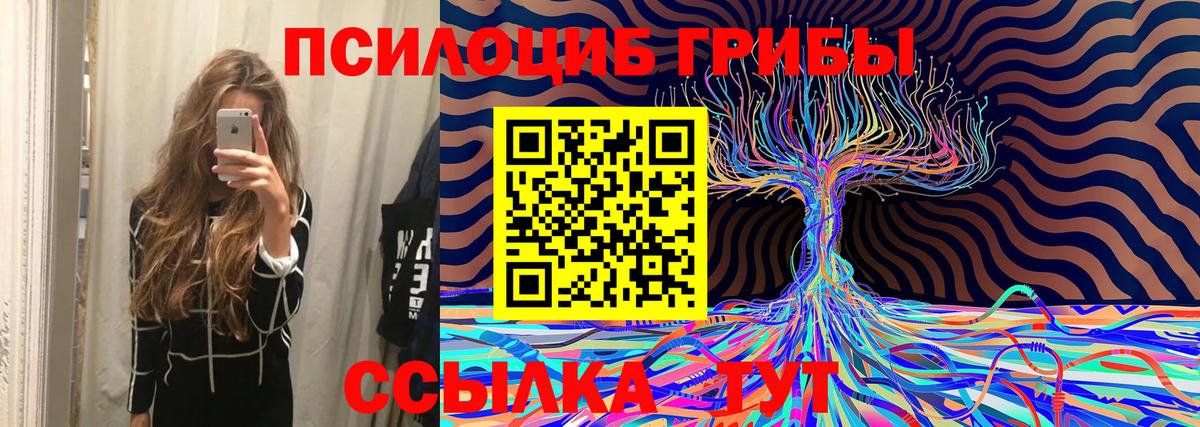 Верхняя Пышма  Галлюциногенные грибы MAGIC MUSHROOMS  Вход с VPN 